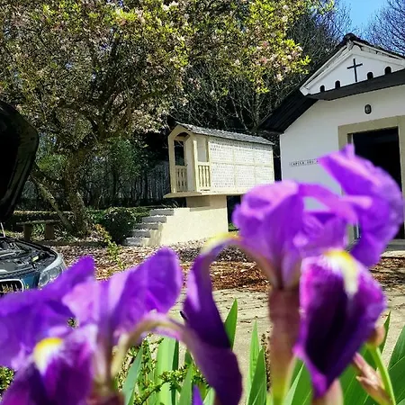 Casa Pizarra